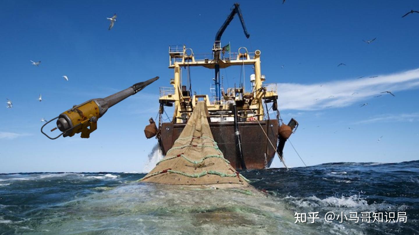 日本发明鲸肉贩卖机，每天销量远超预期，日本为啥非得吃鲸鱼？ - 知乎