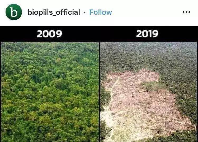 要好好保护地球家园呀~绿地消失,冰山消融还有令人叹息的环境改变《我