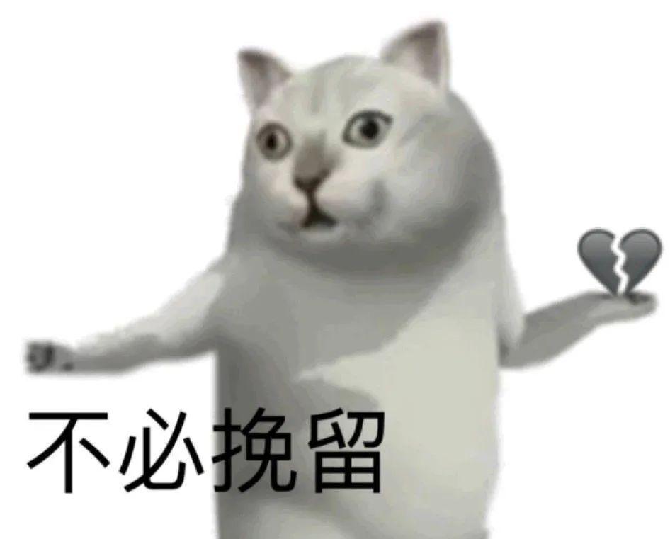 新增mur猫表情包 - 知乎