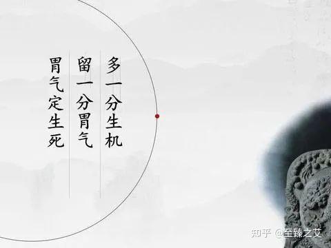 何为胃气艾灸补胃气养病更养命