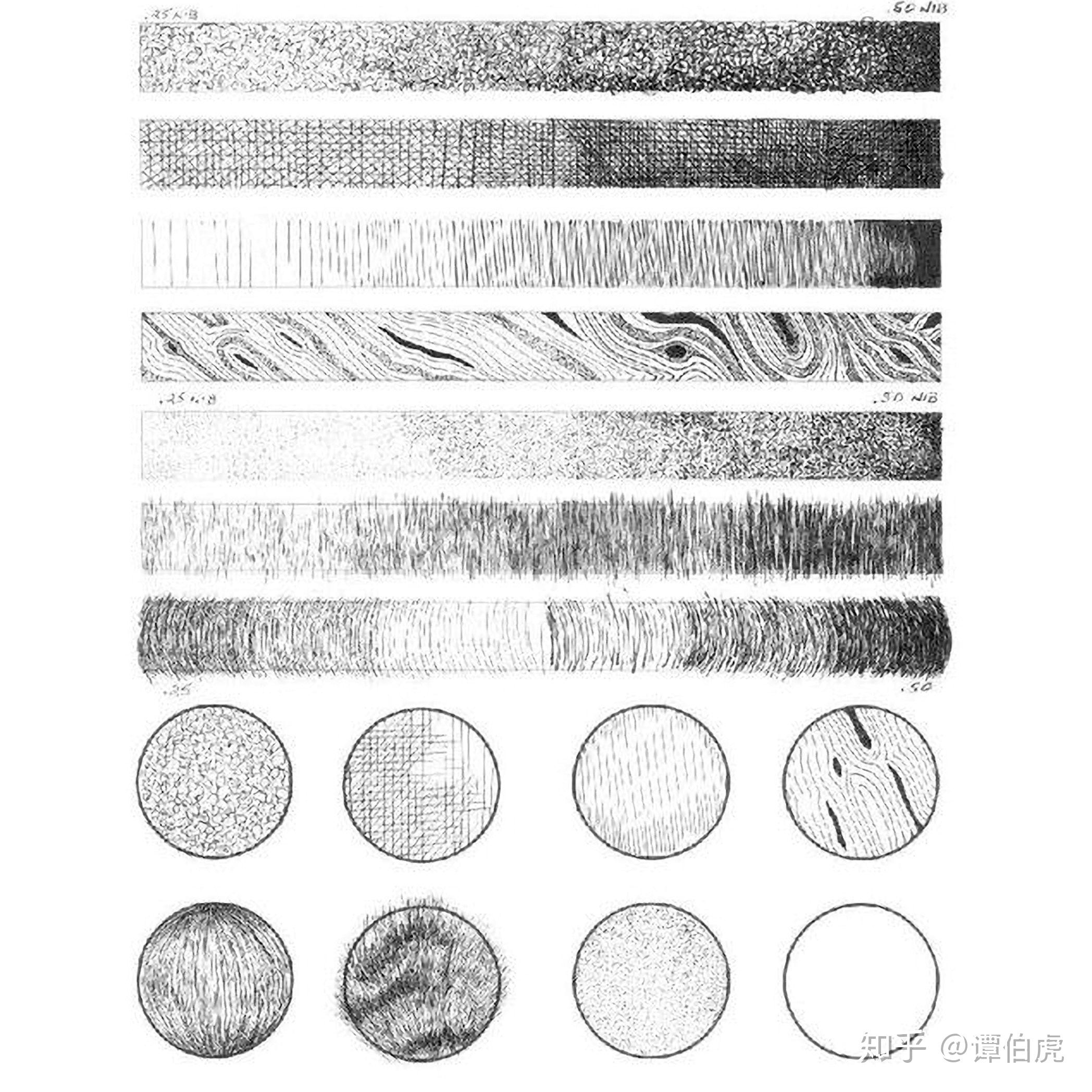 谭伯虎说画，钢笔画入门到精通零基础必看 - 知乎
