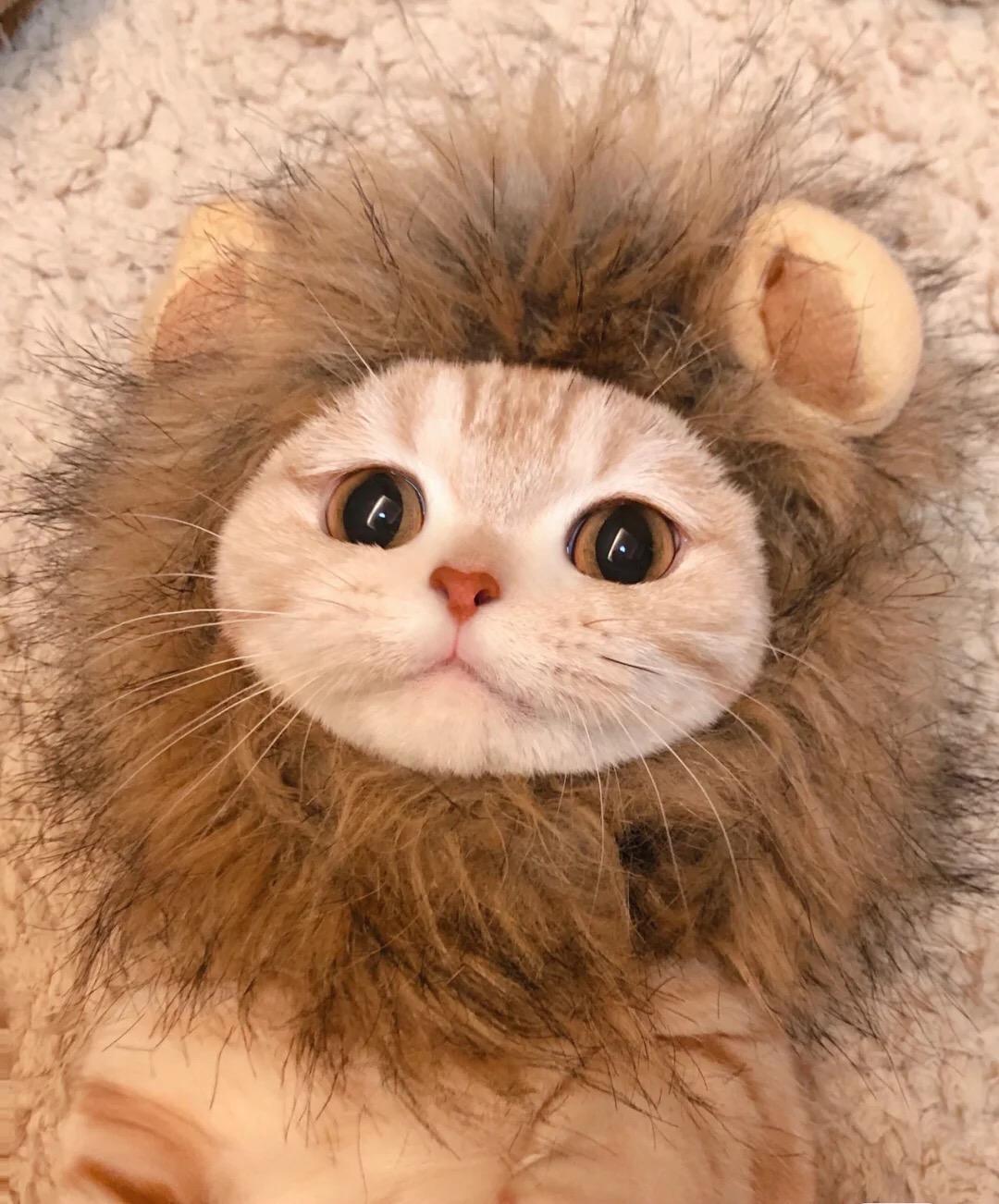 还算不错