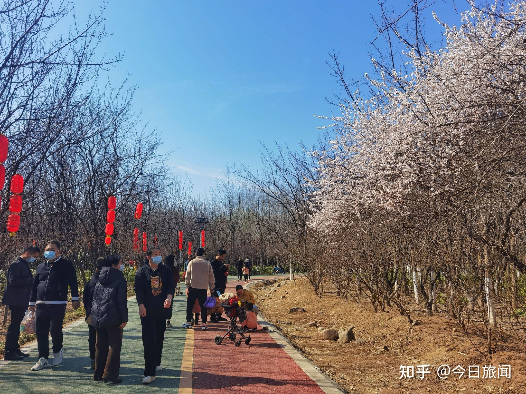 位於洛陽聶泰路的從政坊遊園,是去年8月份才剛剛建成的休閒娛樂公園