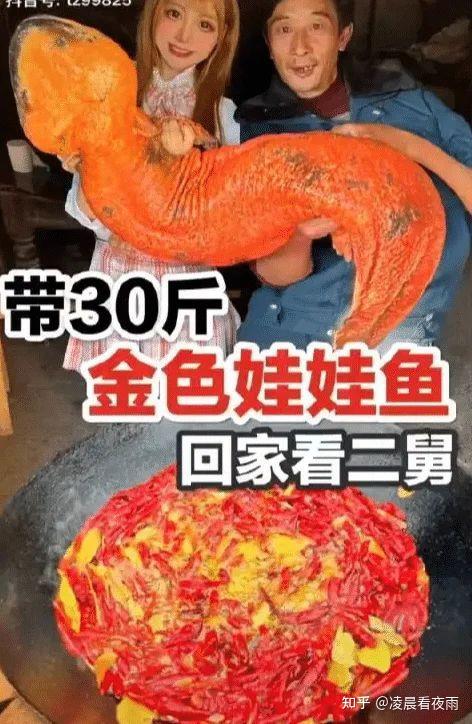 四川網紅提子疑似吃鯊魚最新消息