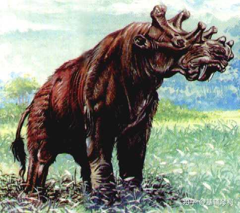 【始王兽】lv始王兽(eobasileus cornutus,"加冕黎明之王")是一种史前
