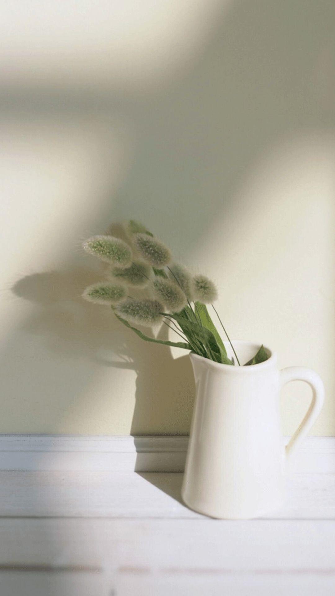 第一眼感觉干净舒服的壁纸