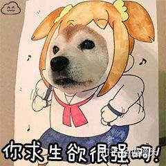 v2-ee2764daba4ac0284fb9ad50eee1456a_b.jpg