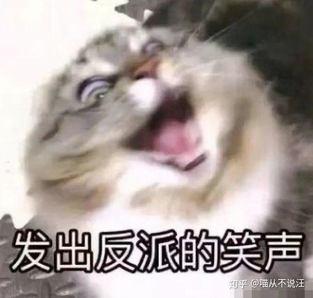 免费送猫会不吉利吗 v2-ee29a53315a560cf5cf670bb9587ab42_r.jpg