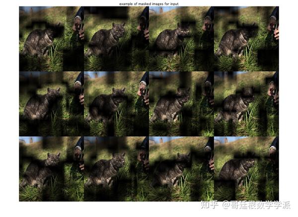 使用 ScoreCAM方法解释深度学习分类结果 知乎