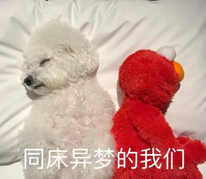 113张最沙雕最搞笑的表情包