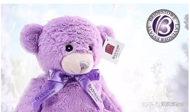 澳大利亚是留学_留学澳大利亚好不好_留学澳大利亚是中国人吗