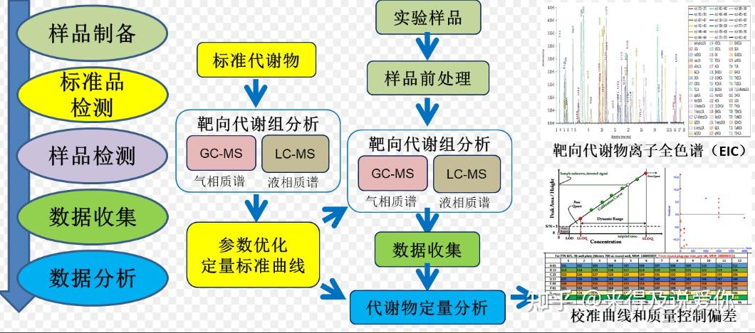 LC-MS代谢组学的应用领域和基本流程 - 知乎