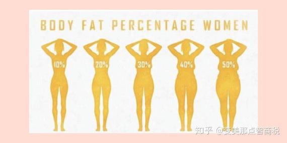 标准二:身体围度78好身材的3d标准怎么能少的了腰臀比呢.