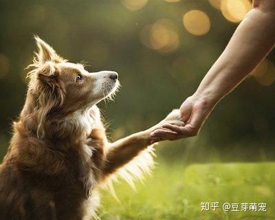 v2-ee754052c919ac048f44dce1fe4fbac2_b.jpg