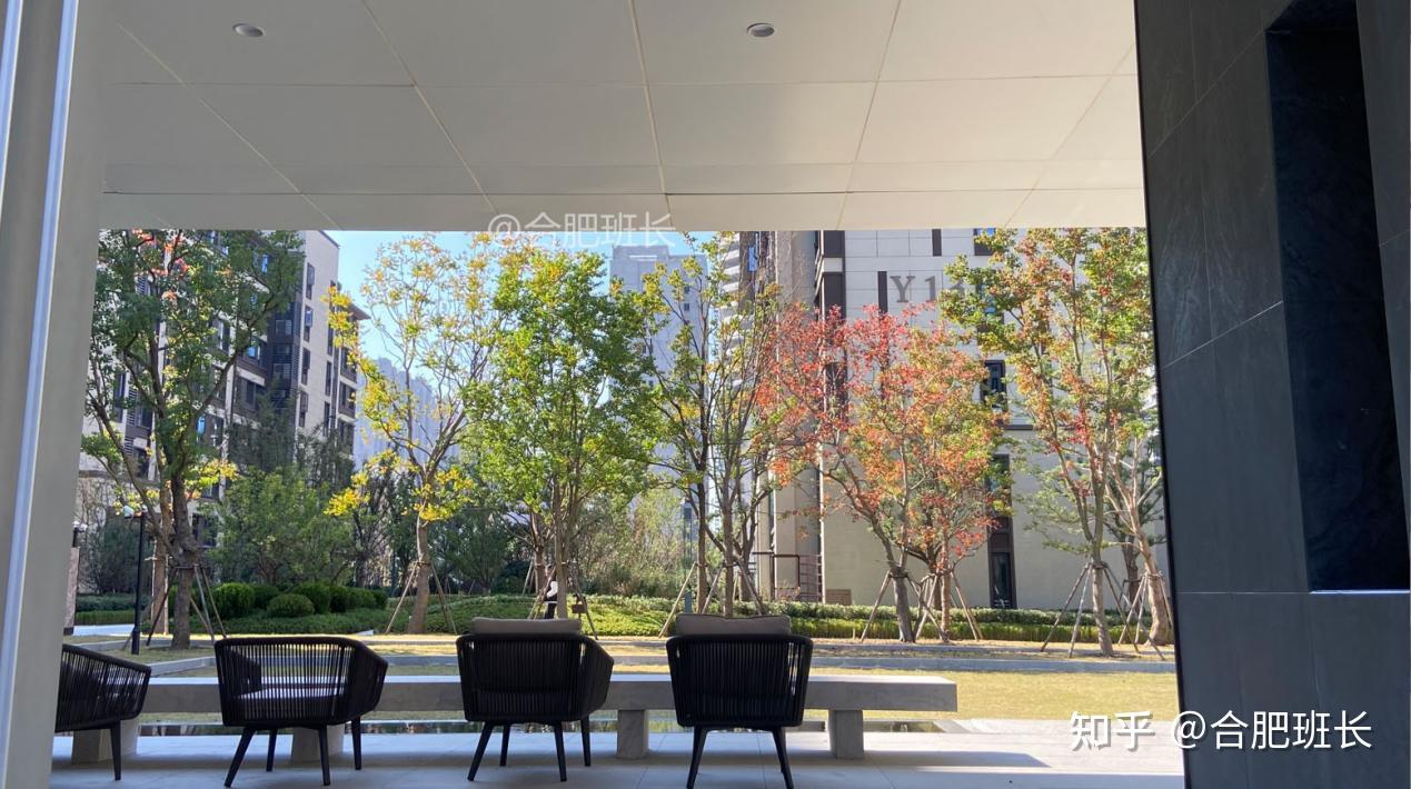 合肥顶流红盘之一,实探滨湖省府中轴的阳光城檀悦! - 知乎