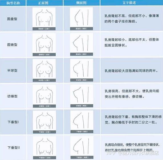 女性实际的胸型主要有6种:1