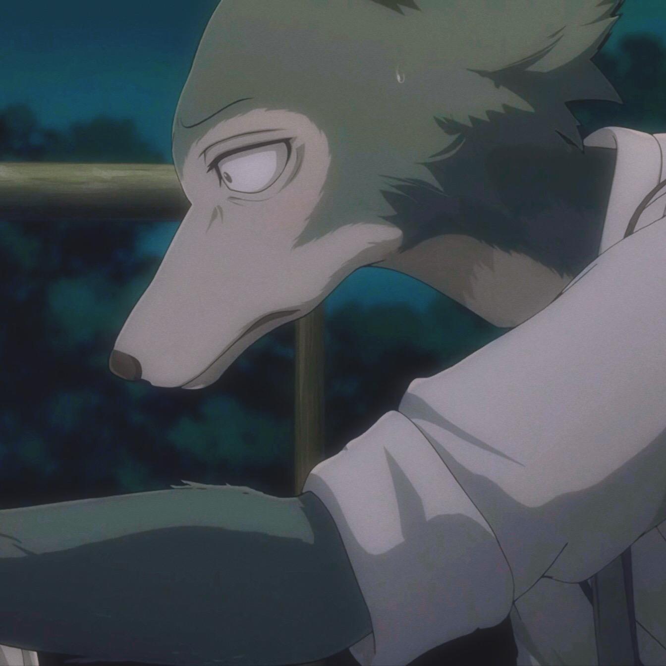 《动物狂想曲(beastars)》篇