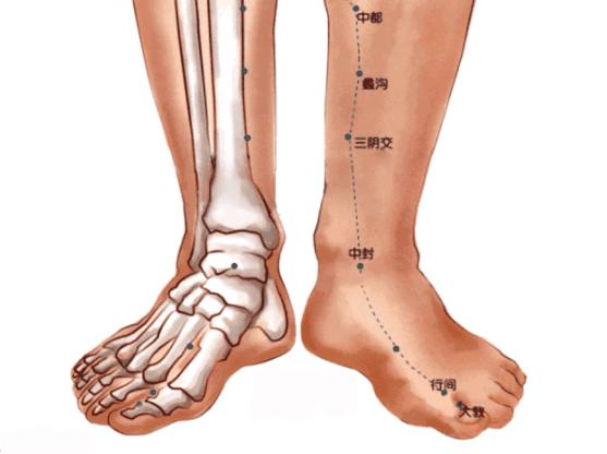 從腳趾,腳跟到小腿,大腿內側有3條經絡:脾經,肝經和腎經,稱作足三陰經