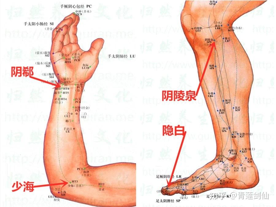 阴郄读音图片