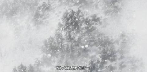 虫师 图鉴录 六 雪中之虫 知乎