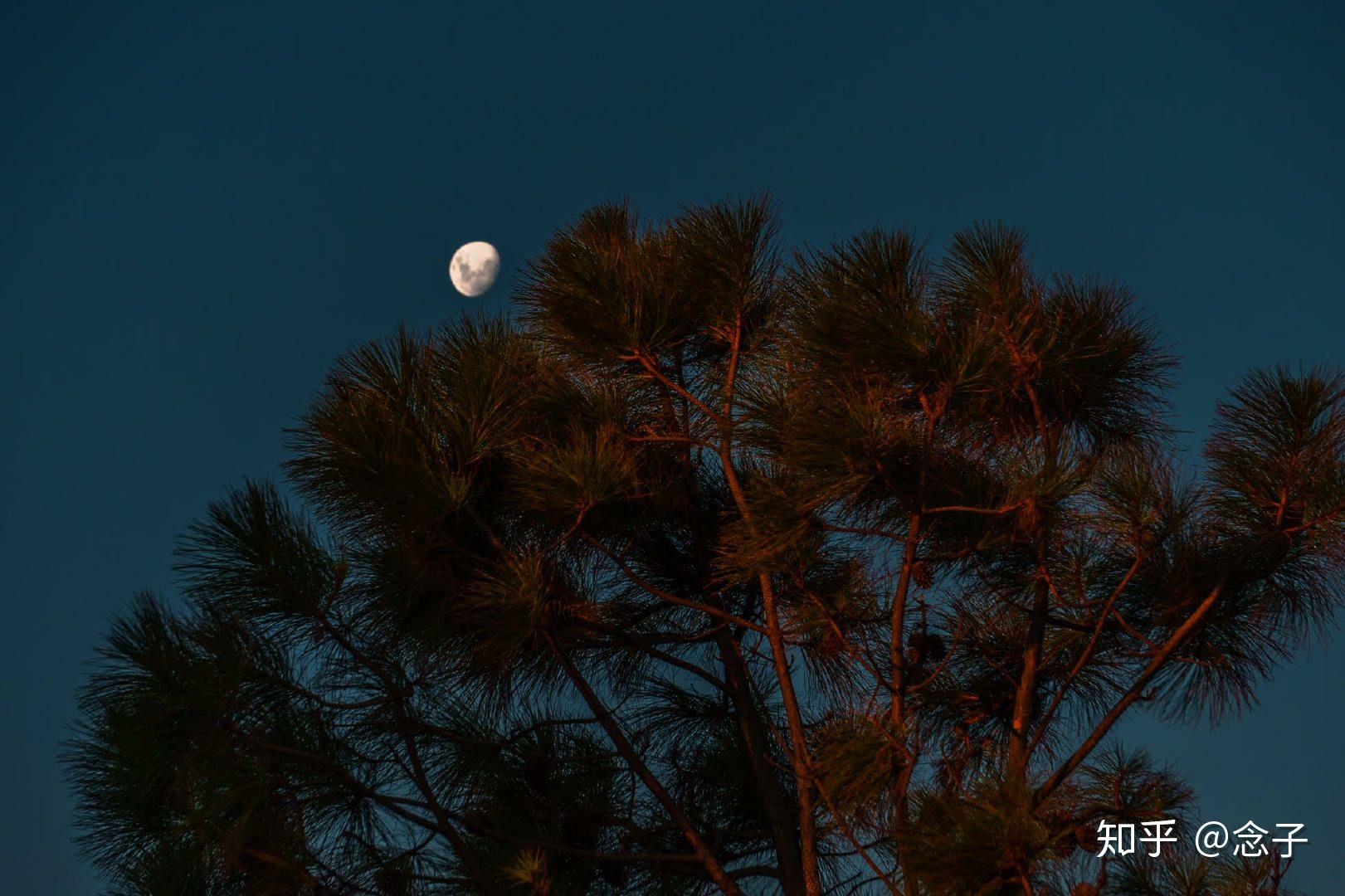有哪些值得推荐的qq聊天背景照片