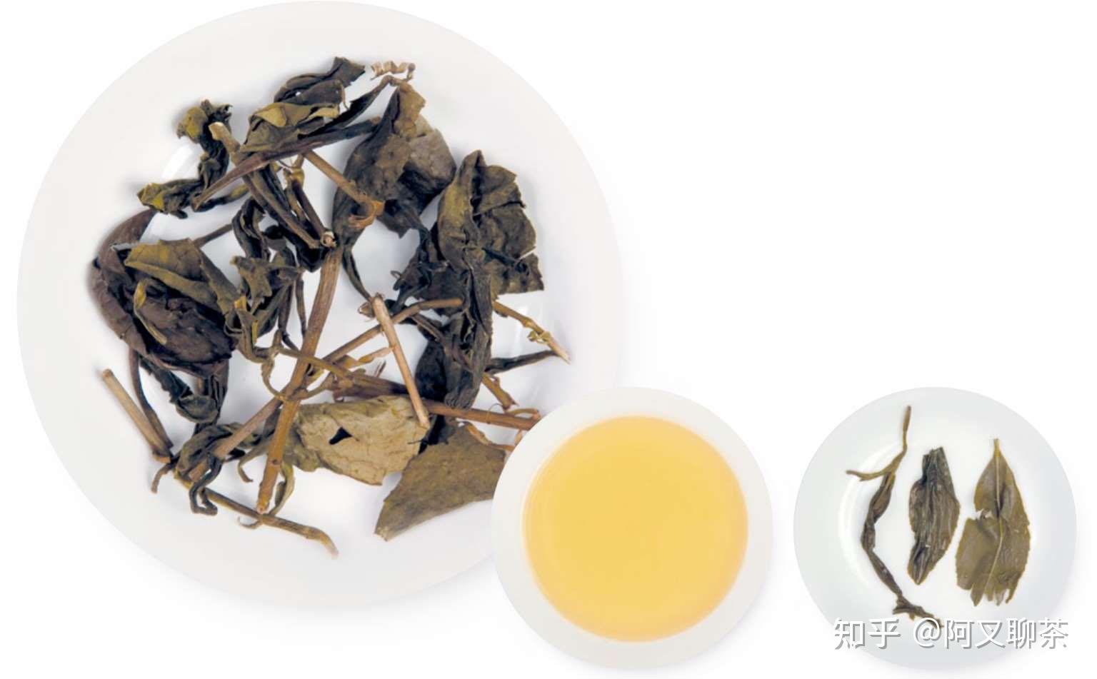 茶科普:详解六大茶之黄茶 - 知乎