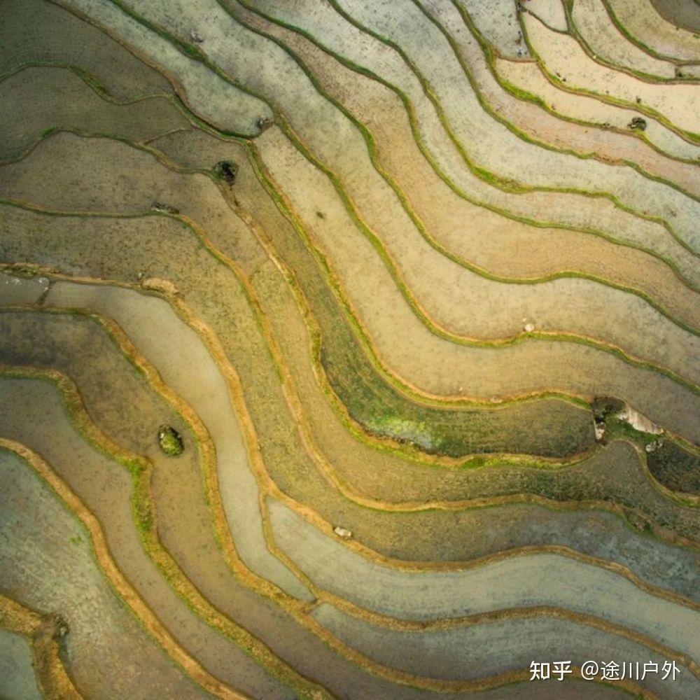 高铁1.5h跑拢!四川这座千年江城,美食美景无数!终于藏不住了!