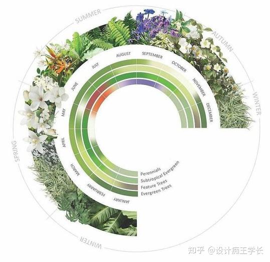 设计留学植物分析与植物表现都有哪些常见的形式