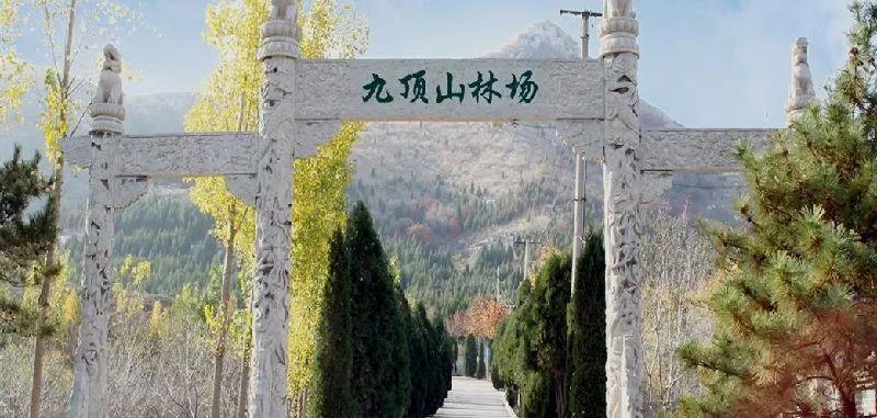 九顶山公墓图片