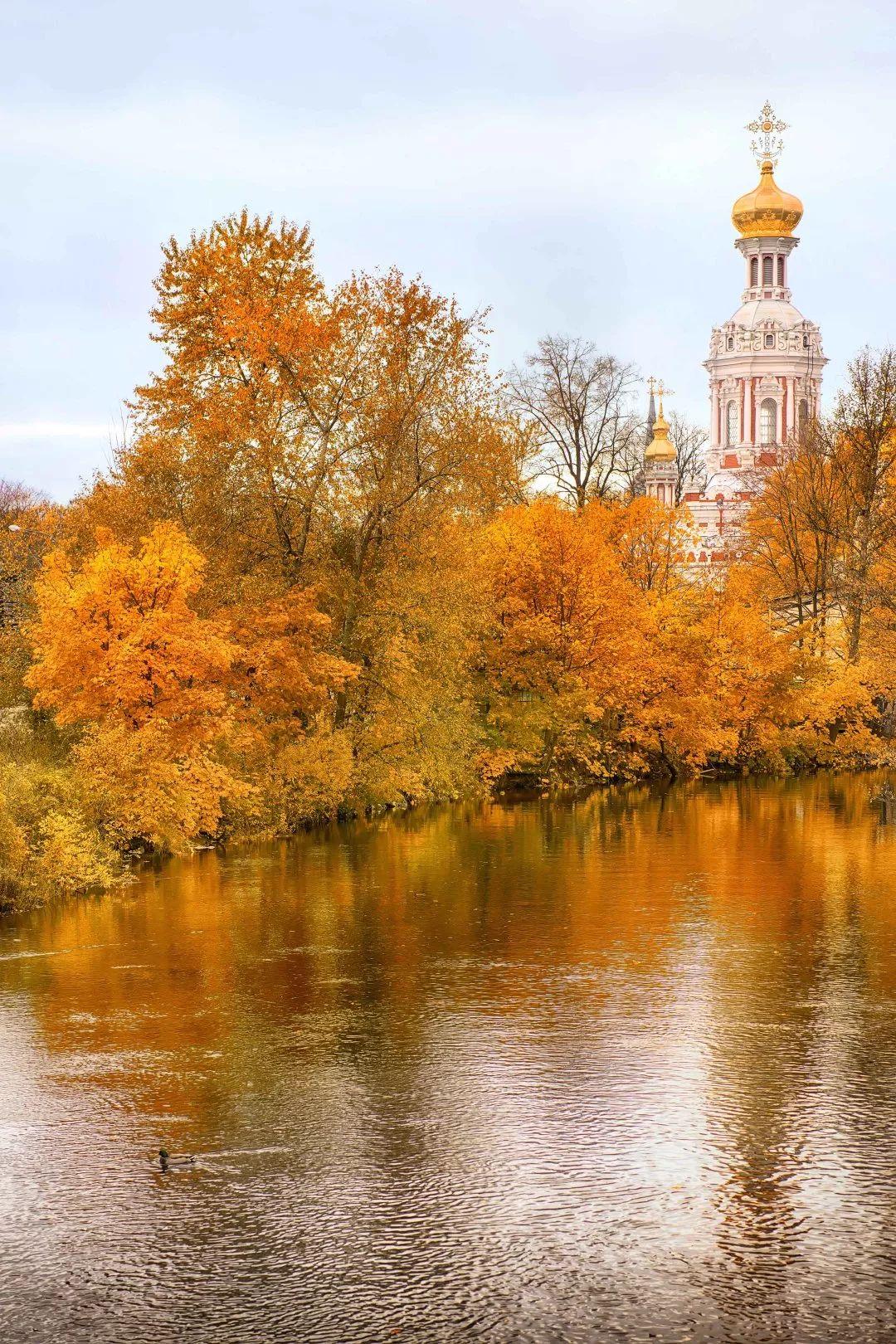 现实版秋日童话俄罗斯简直美得不像话