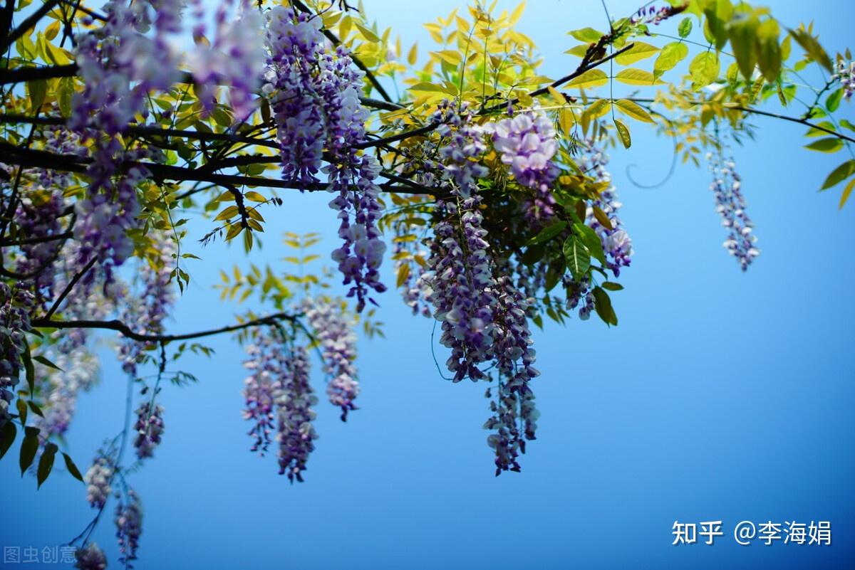 雨落情长,春光欲暮,风住尘香花已尽,微风细雨欲辞春