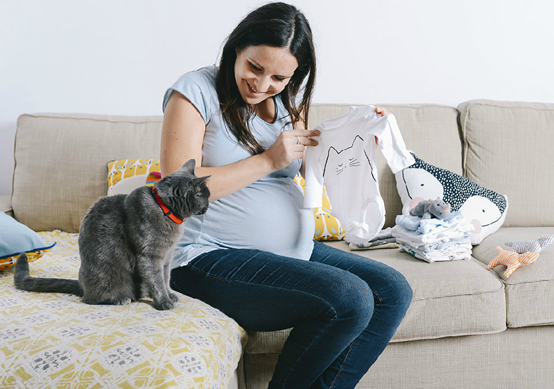 孕妇可以养猫,请不要放弃主子!