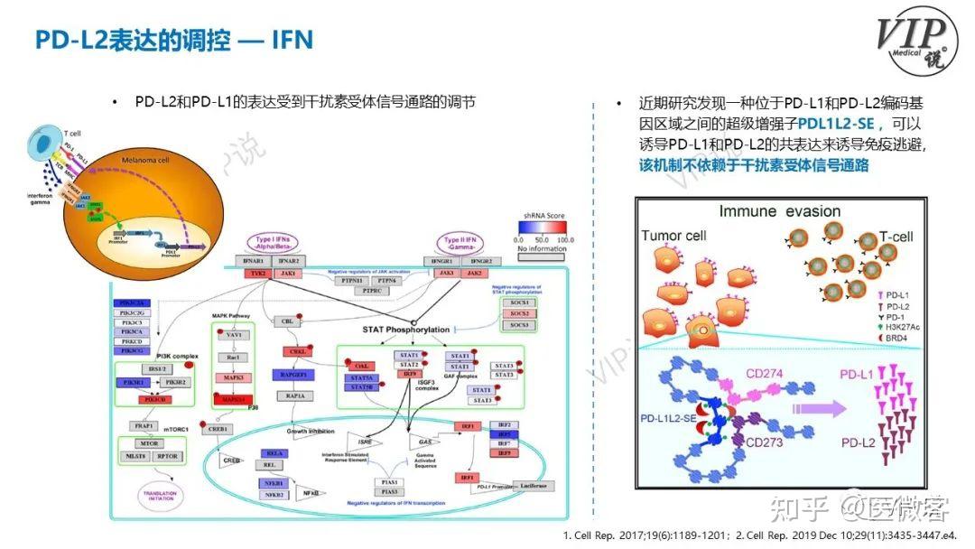 PD-L2的作用临床上可以忽视吗？ - 知乎