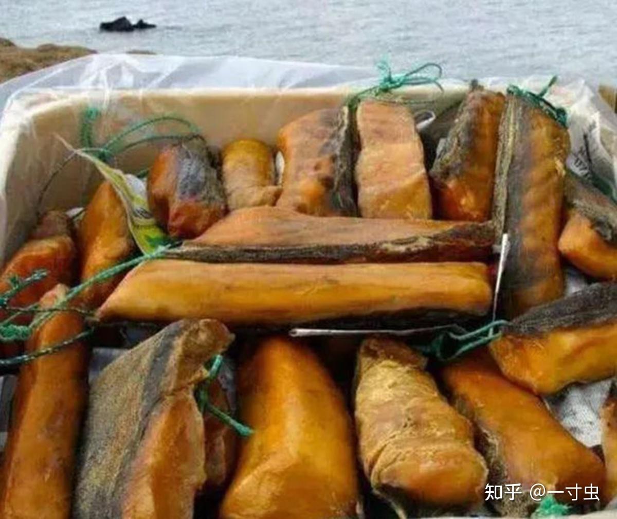 魚能活多久?狗魚雖狠,但格陵蘭睡鯊稱王