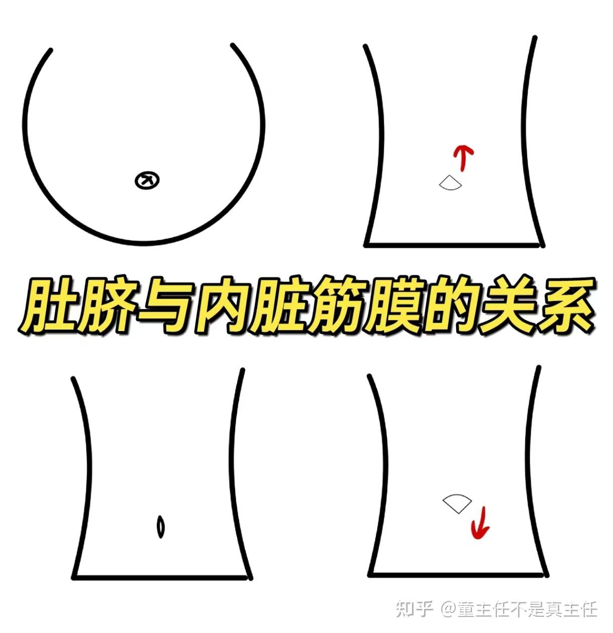 肚脐会告诉我们腹腔内部怎么了