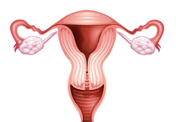 想要受精卵成功着床 这些你得知道 知乎