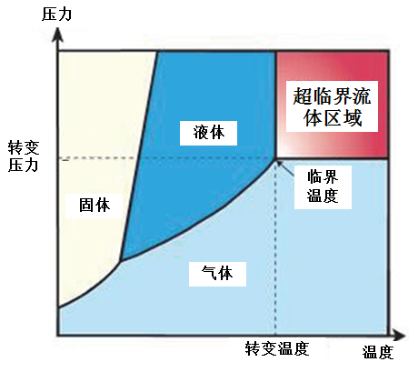 計算,東邊野獸的原料差不多是普通靈芝孢子油的很多倍,功效發揮自然沒