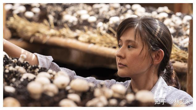 《山海情》中的水花,为何主动拖着残疾丈夫,到没人想去的戈壁滩