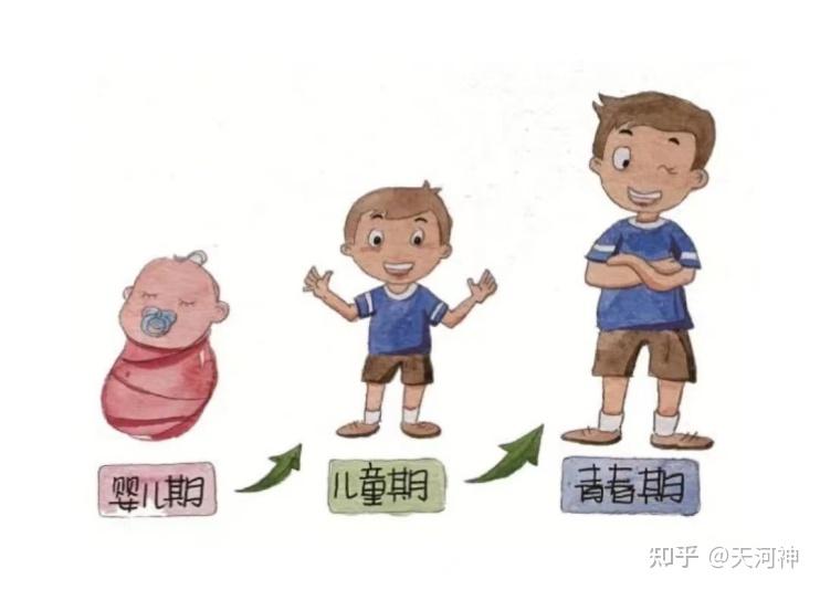 长高的方法！你家孩子长个了吗？孩子长高的黄金期！ - 知乎