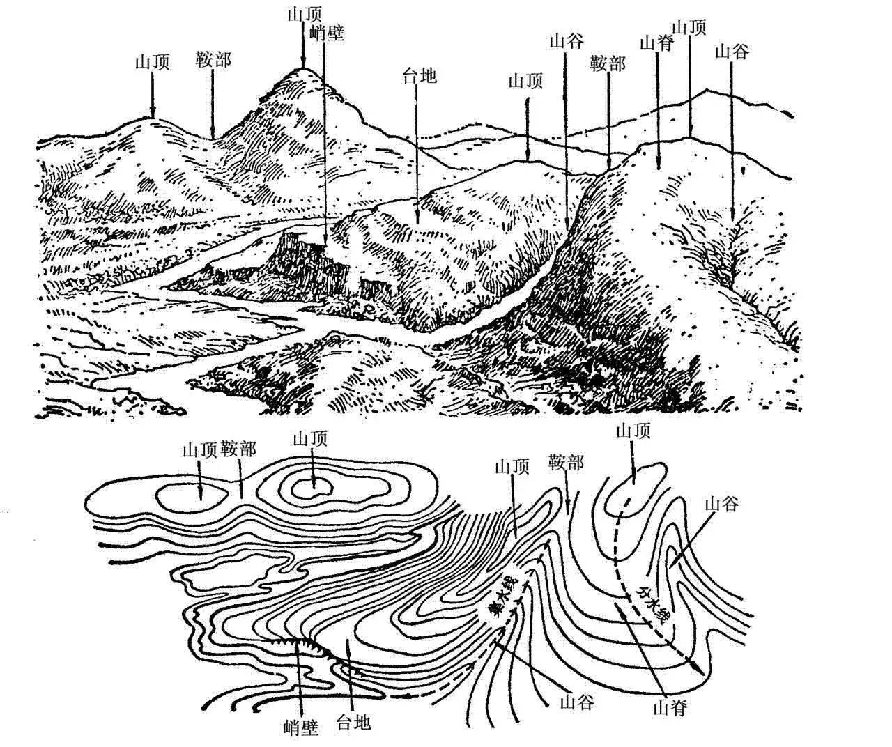 v2-ef494b866cec50986edca8c3c6a57072_r.jpg