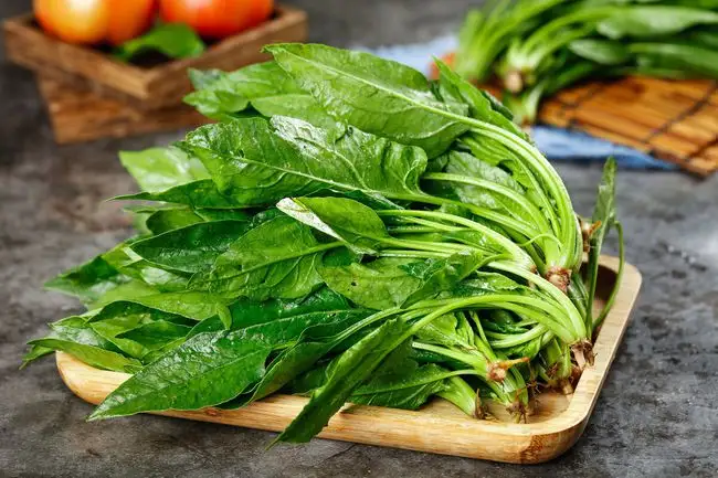 春天吃菠菜正当时菠菜的这些好处你一定不能错过