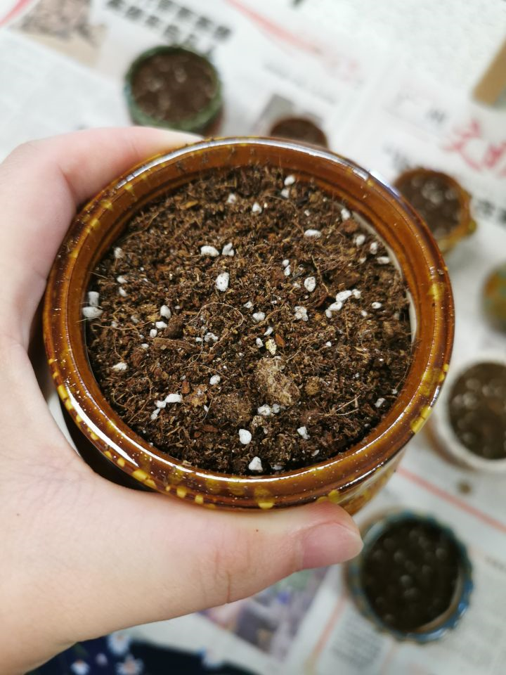 首先要强调的是,这不是一篇科普文,嘿嘿.7 人赞同了该文章67菟丝花