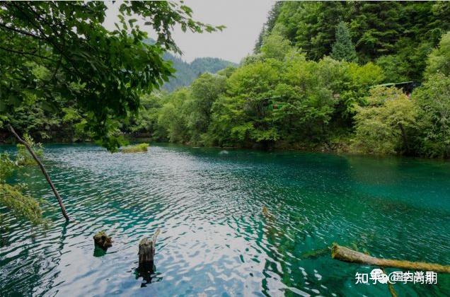 国内旅游好去处 寄情山水九寨沟-国内美景 - 知乎