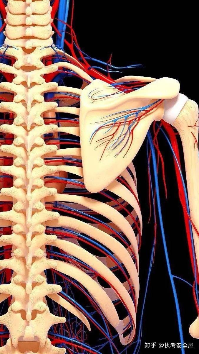 叮~医学生专属上岸壁纸来了!请注意查收!