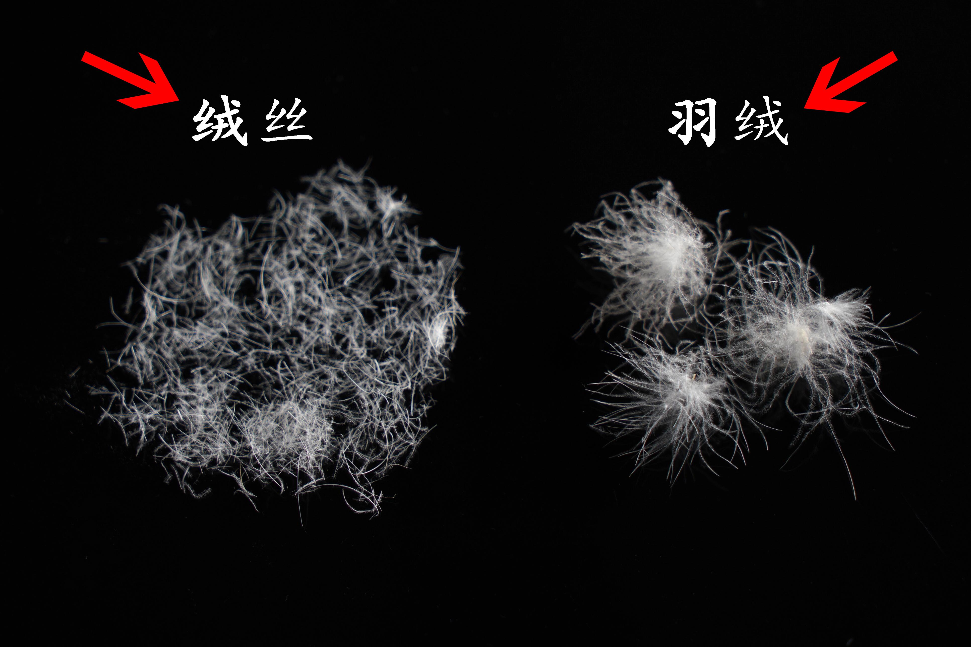 揭露劣质羽绒睡袋真相