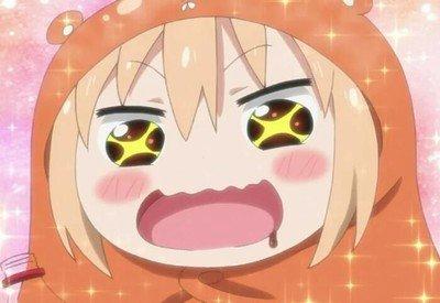 100多种花的英文名及花语最全双语对照 知乎