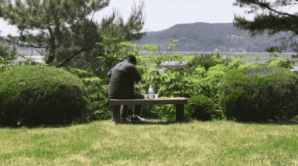 《大自然对你说了什么》豆瓣7.5,模糊的高分佳作!