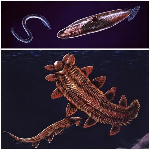 以万妖之祖命名的古生物妖孽"提丰怪物",真身竟是它…… - 知乎