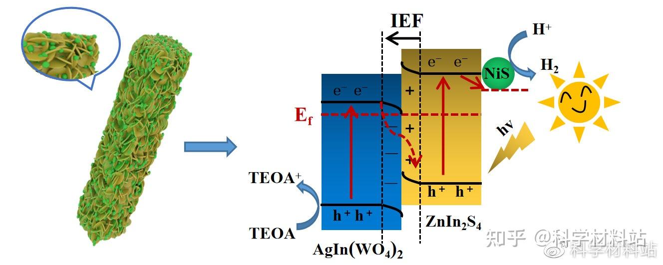 Wo4 R 复旦大学戴维林教授课题组CEJ:S-scheme NiS/ZnIn2S4/AgIn(WO4)2纳米复合材料实现无贵金属助催化剂条件下的高效光解 ...
