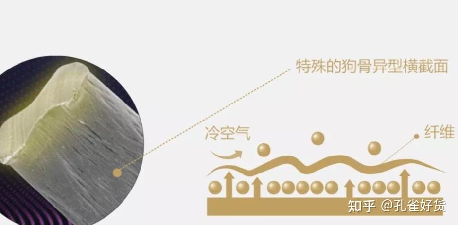 德绒是什么,真的那么保暖吗? - 知乎